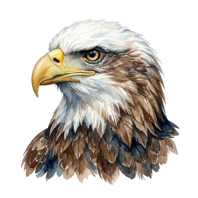 Watercolor Bald Eagle Head