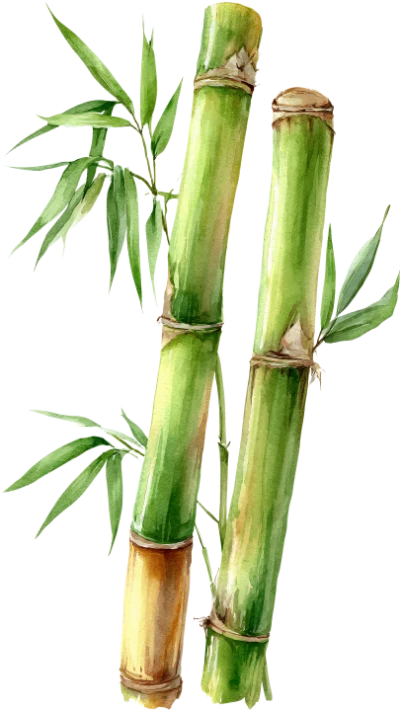 Watercolor Bamboo Stalks