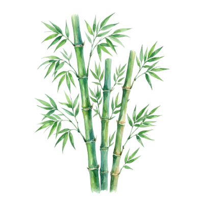 Watercolor Bamboo Stalks