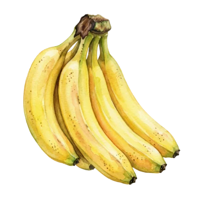 Watercolor Banana Bunch
