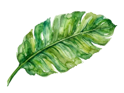 Watercolor Banana Leaf