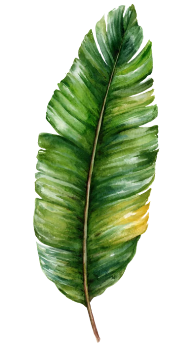 Watercolor Banana Leaf