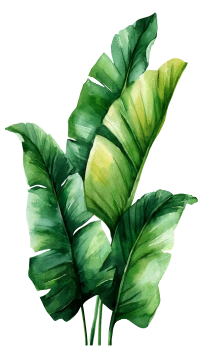 Watercolor Banana Leaves