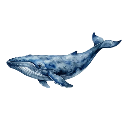 Watercolor Blue Whale