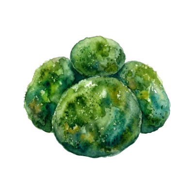 Watercolor Broccoli Florets