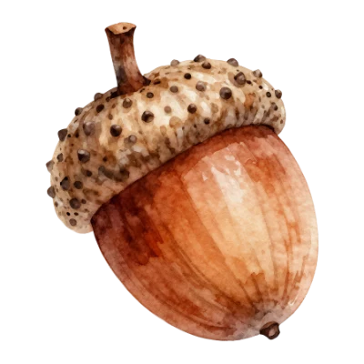 Watercolor Brown Acorn