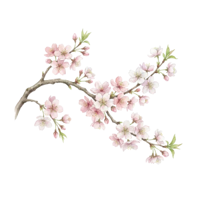 Watercolor Cherry Blossom Branch
