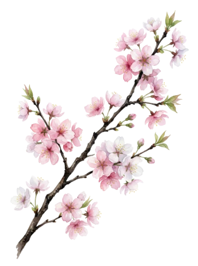 Watercolor Cherry Blossom Branch