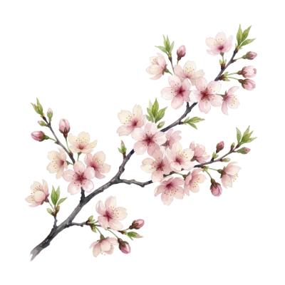 Watercolor Cherry Blossom Branch