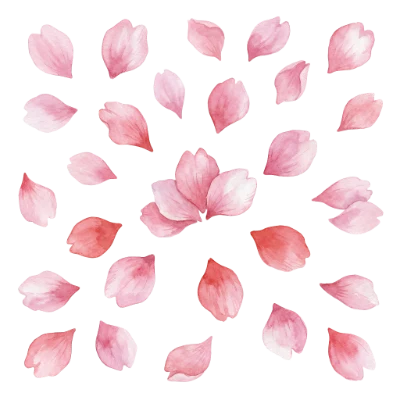 Watercolor Cherry Blossom Petals