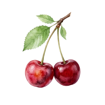Watercolor Cherry Fruit