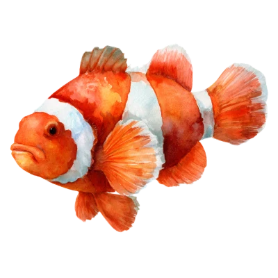 Watercolor Clownfish Marine Life