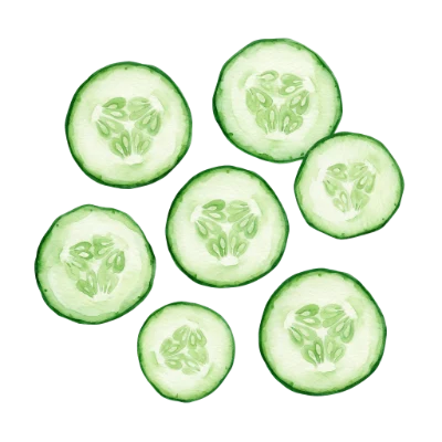 Watercolor Cucumber Slices