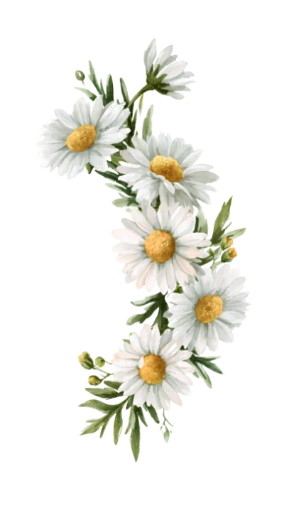 Watercolor Daisy Flower Arrangement