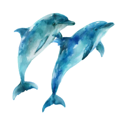 Watercolor Dolphin Pair