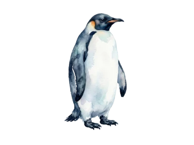 Watercolor Emperor Penguin Illustration