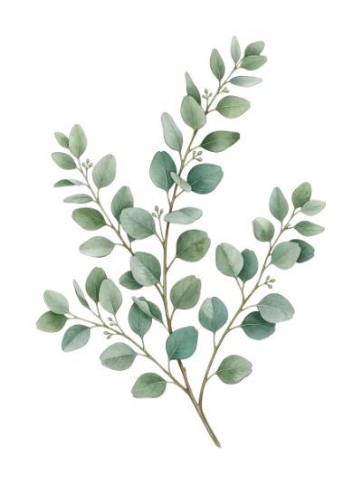 Watercolor Eucalyptus Branch