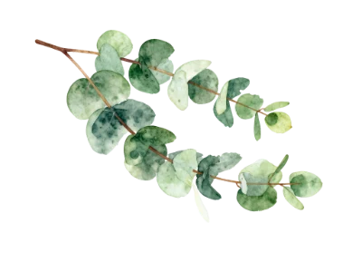 Watercolor Eucalyptus Branch