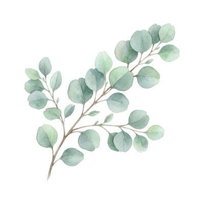 Watercolor Eucalyptus Branch