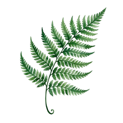 Watercolor Fern Leaf