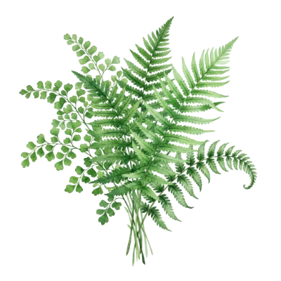 Watercolor Fern Leaves Bouquet