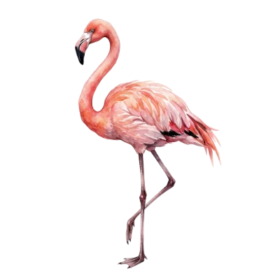 Watercolor Flamingo Bird