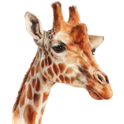 Watercolor Giraffe Head Portrait