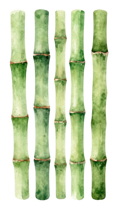Watercolor Green Bamboo Stems