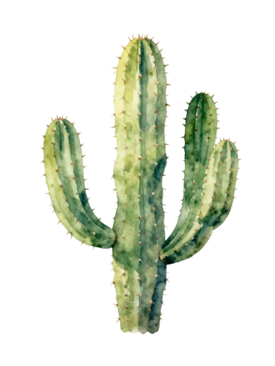 Watercolor Green Cactus