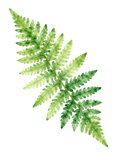 Watercolor Green Fern Leaf