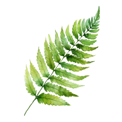 Watercolor Green Fern Leaf