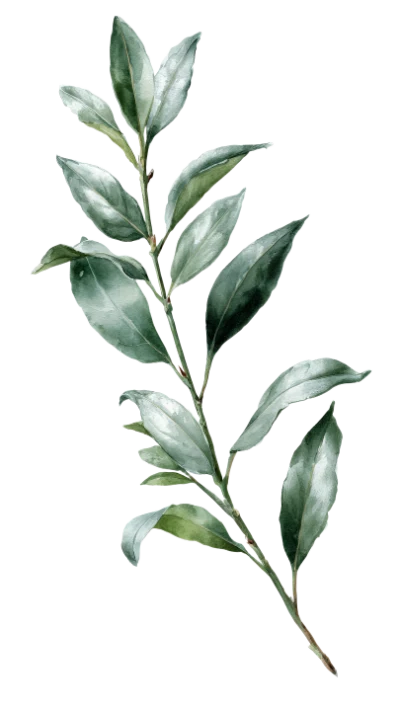 Watercolor Green Leaf Branch