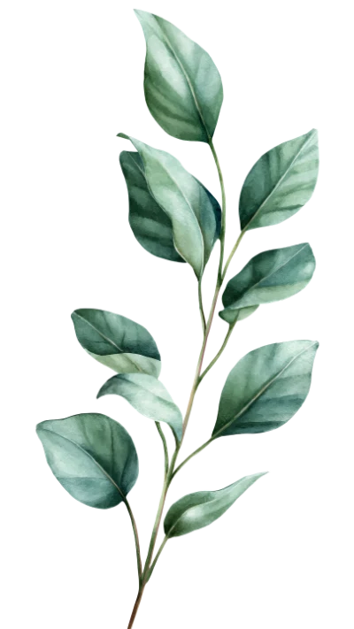 Watercolor Green Leaf Branch