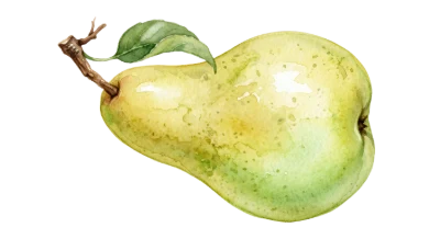 Watercolor Green Pear