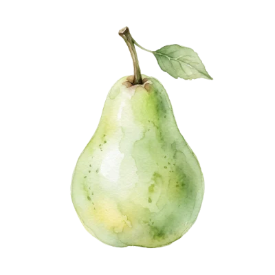 Watercolor Green Pear Illustration