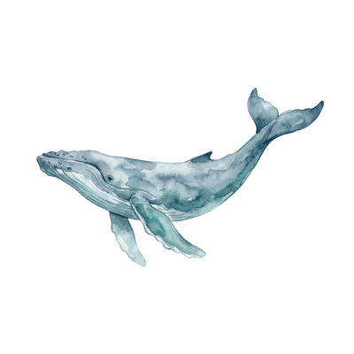 Watercolor Humpback Whale