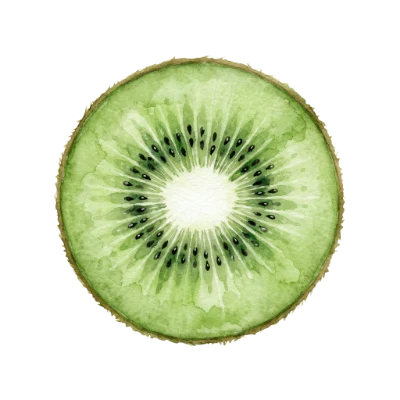 Watercolor Kiwi Fruit Slice