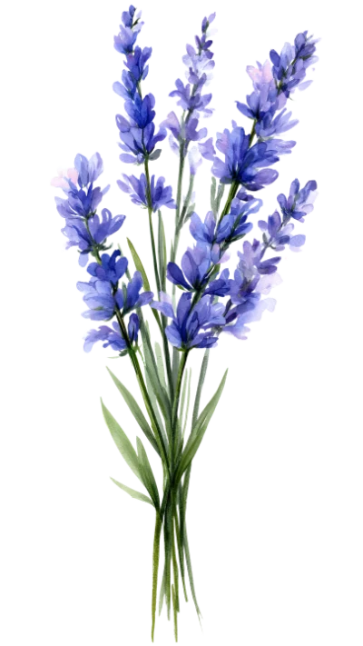 Watercolor Lavender Flower Bouquet