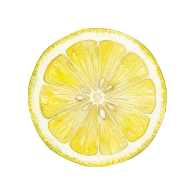 Watercolor Lemon Slice
