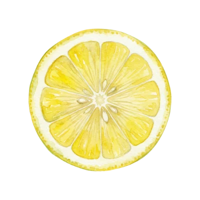 Watercolor Lemon Slice