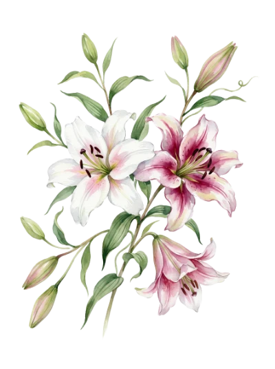 Watercolor Lily Flower Bouquet