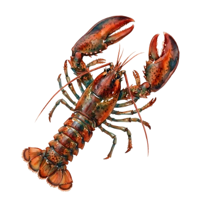 Watercolor Lobster Seafood