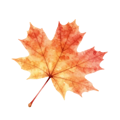 Watercolor Maple Leaf