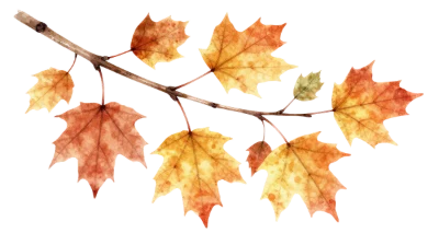 Watercolor Maple Tree Branch