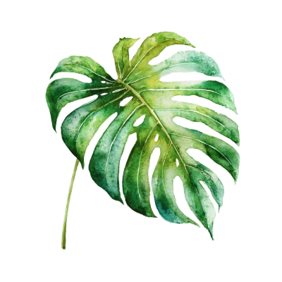 Watercolor Monstera Leaf