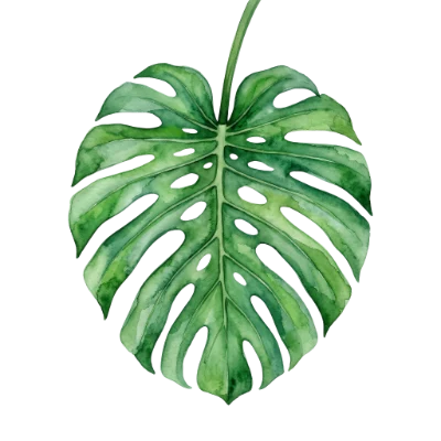 Watercolor Monstera Leaf