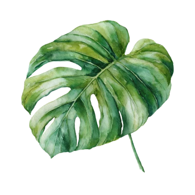 Watercolor Monstera Leaf