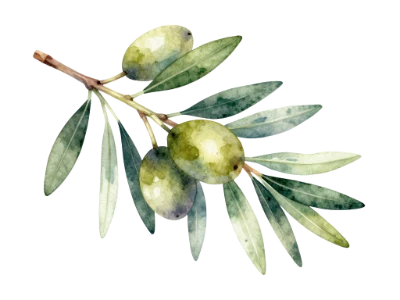Watercolor Olive Branch