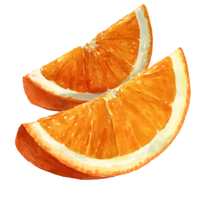 Watercolor Orange Fruit Slices