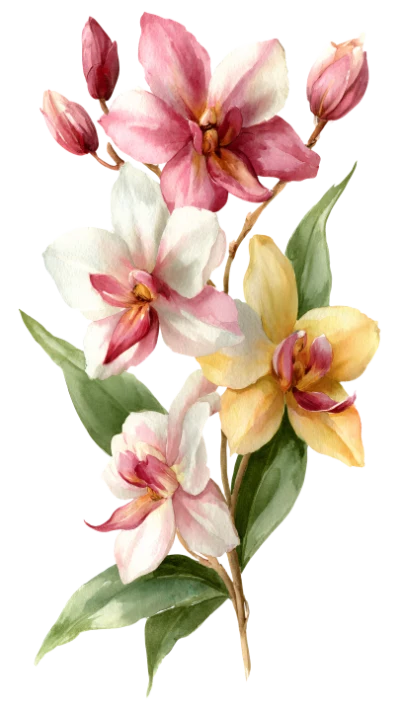 Watercolor Orchid Flower Bouquet